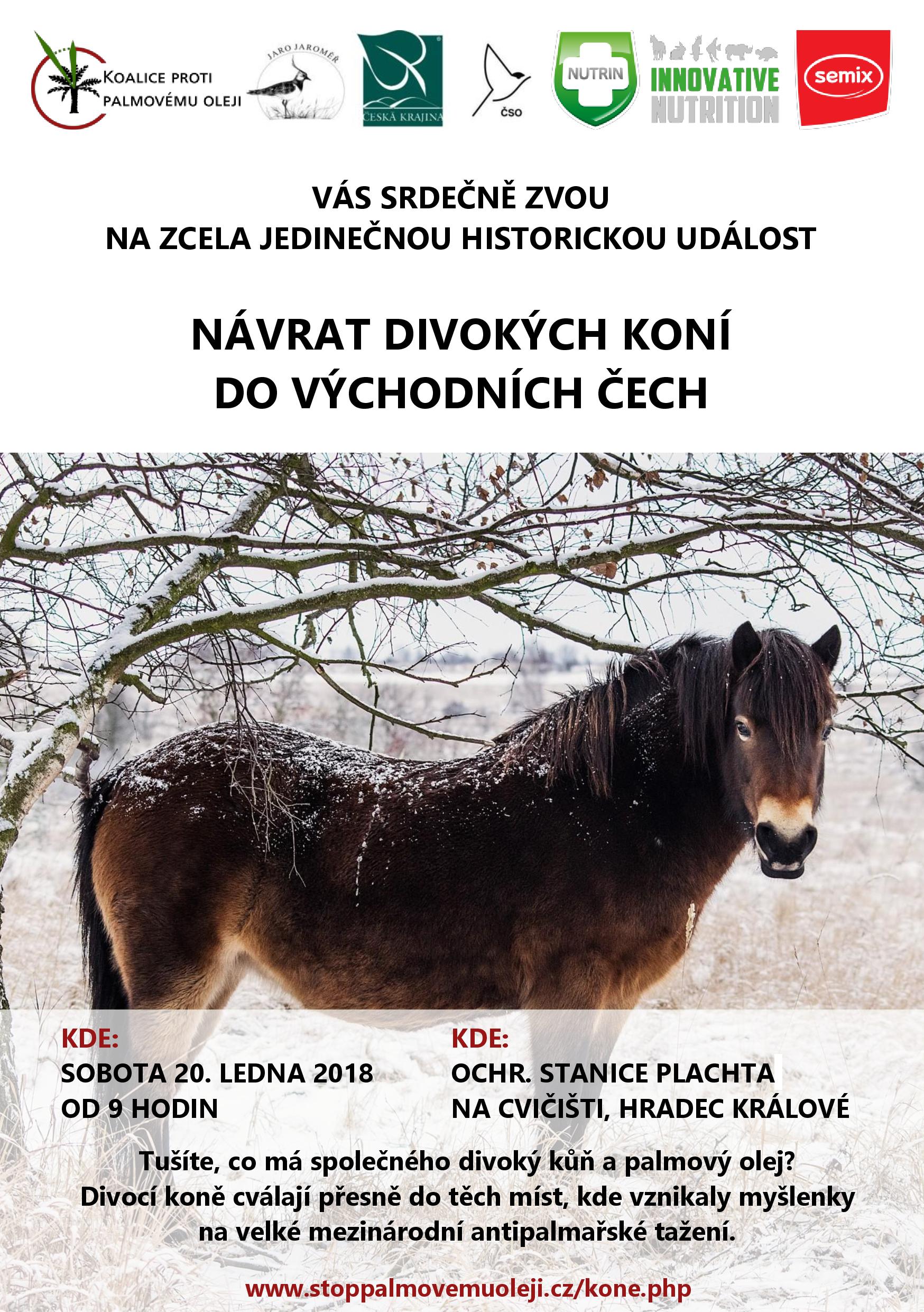 Návrat divokých koní do východních Čech